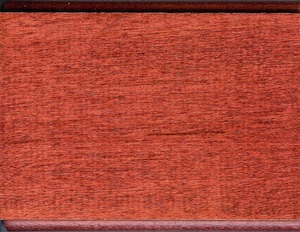 Cranberry on Maple
